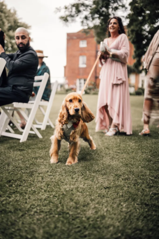 Alternative Wedding David Dean Photographic7 683x1024